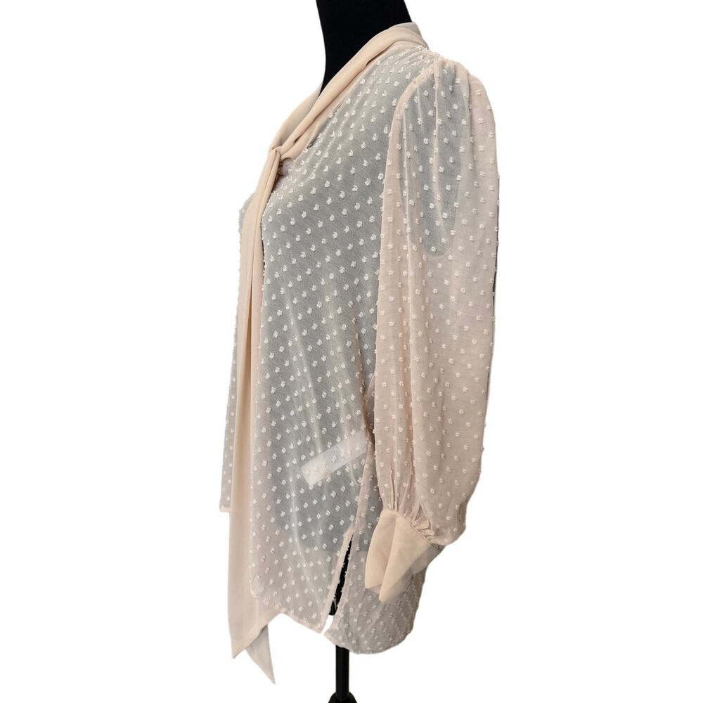 New ~ ADRIANNA PAPELL ~ Swiss Dot Tie Neck Long Sleeve Top Size XS - Picture 3 of 6